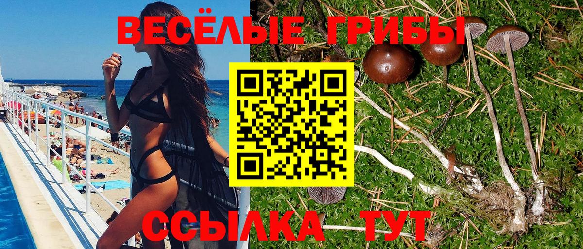 Подольск  Галлюциногенные грибы Magic Shrooms  Вход с VPN 